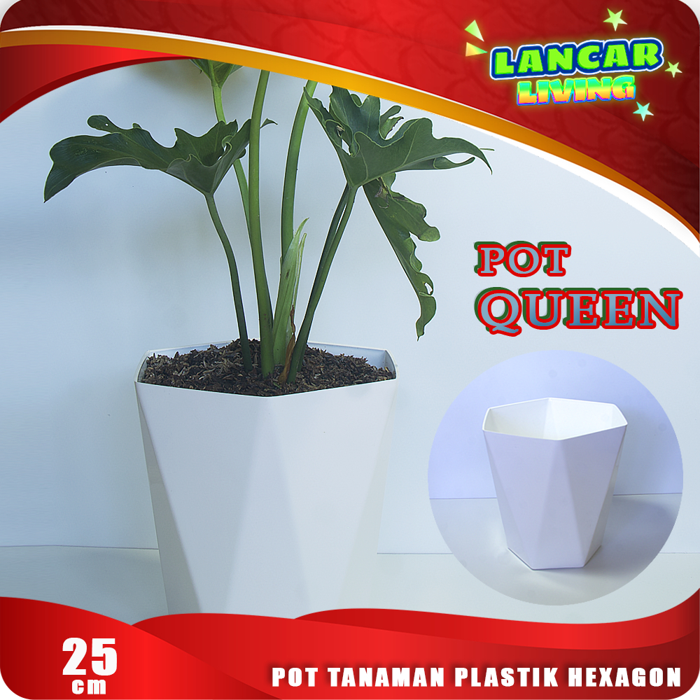 6 Pcs Pot Tanaman Hexagon Pot Queen/Pot Bunga Plastik Hexagon Unik Pot Tanaman Indoor dan Outdoor 25