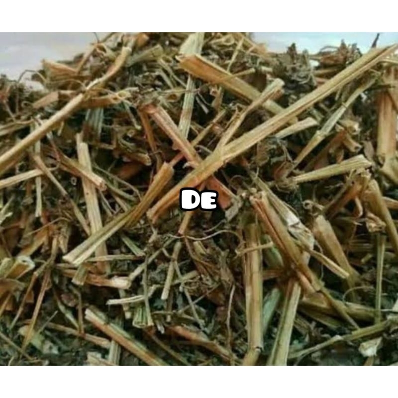 

Herbal daun ciplukan kering / daun cecenet kering