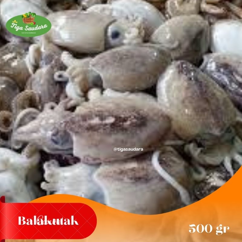 

Cumi Balakutak 500 gr| Sayuran Tiga Saudara | Pengiriman Cimahi