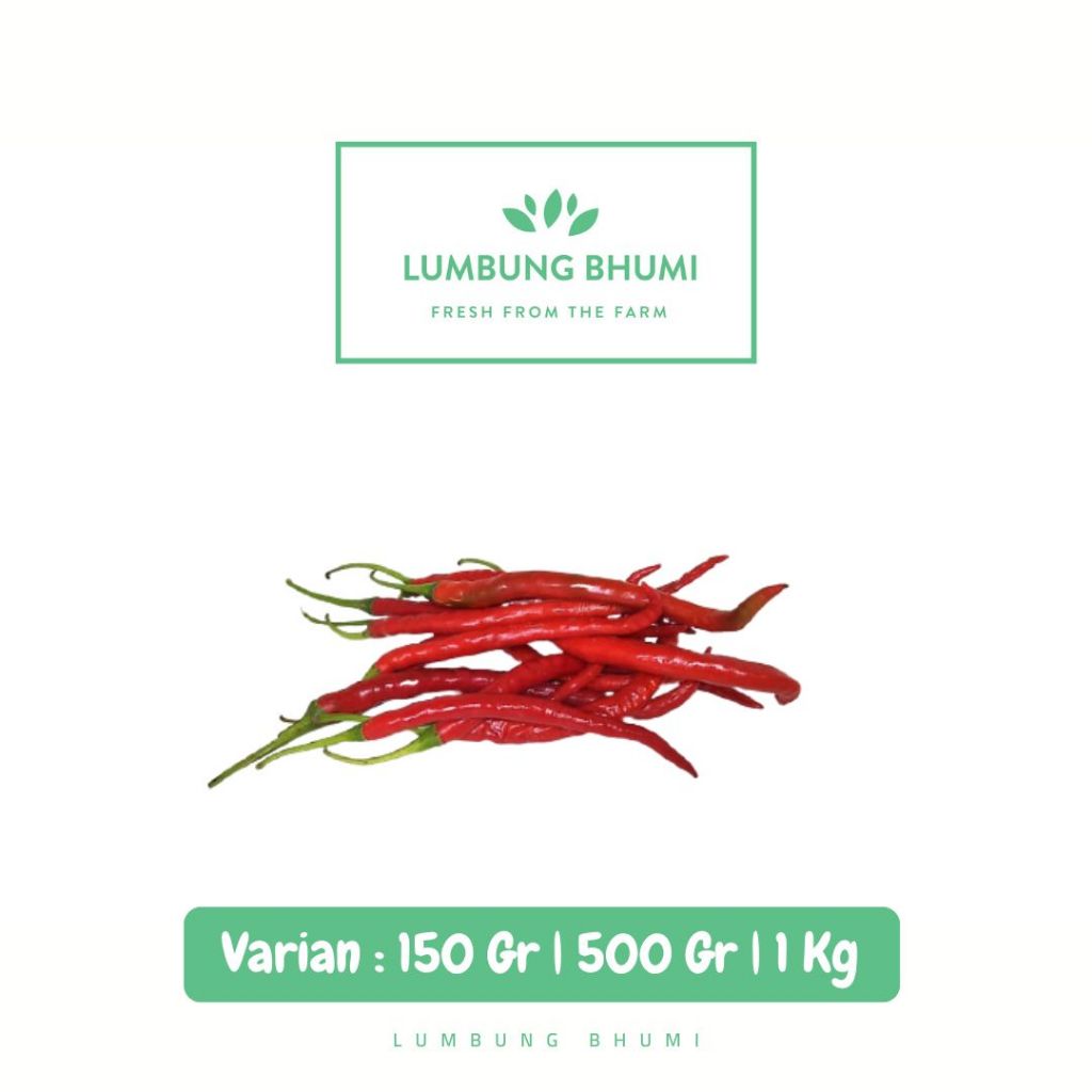

Cabe Merah Keriting Sayur - Lumbung Bhumi