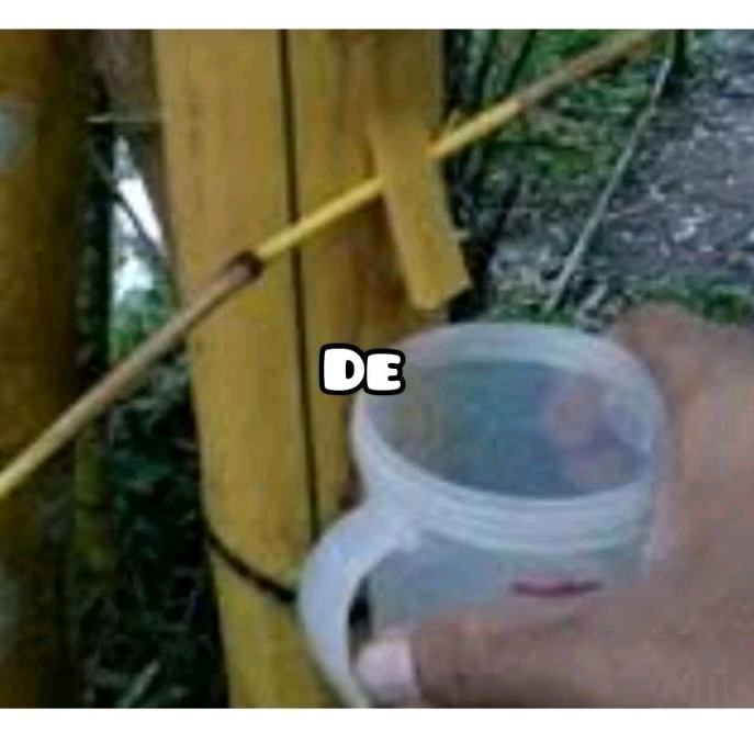 

Jual air bambu kuning asli dan alami 200 ml-az