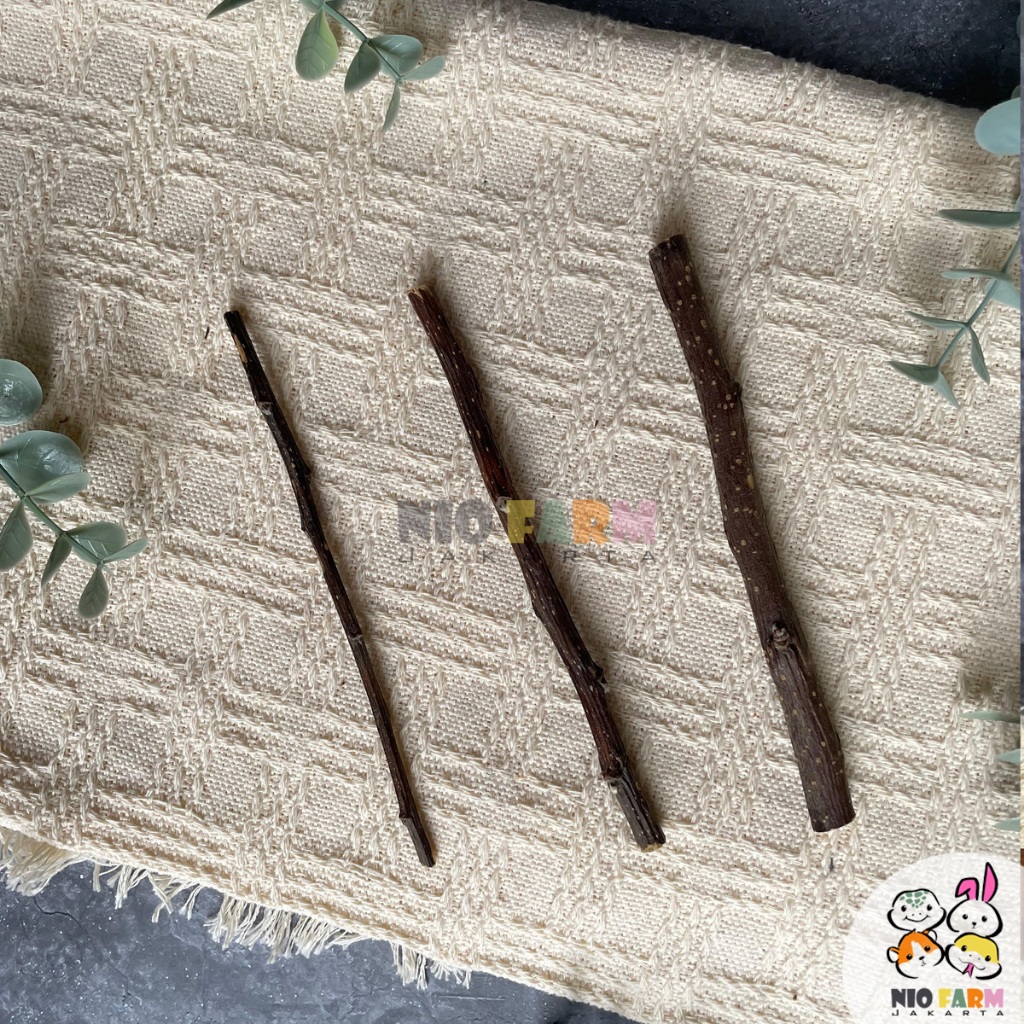 NIOFARM - Natural Orchard Apple - Full Size 13-15 cm / Gigitan Asah Gigi Kelinci Chinchilla Hamster 