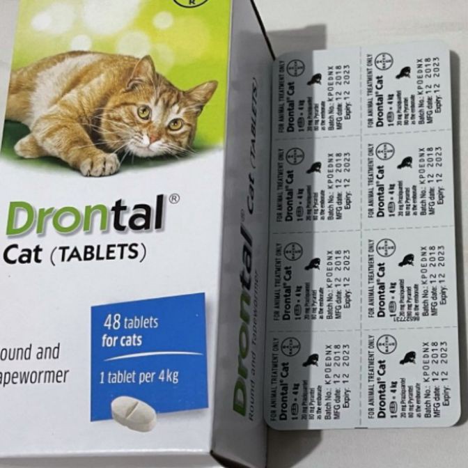 HJ6 Drontal Cat 1 Butir  Drontal Kucing  Cacing Kucing  Cacing Drontal  Drontal