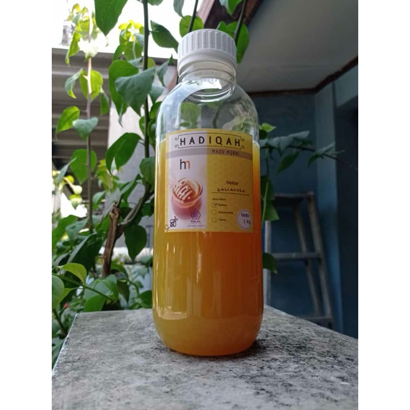 

Madu Murni Nektar Bunga Kaliandra 1kg