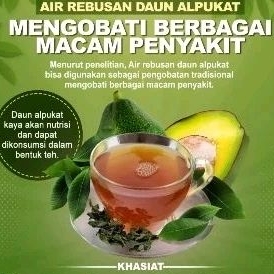 

Daun Alpokat Segar Untuk Herbal Kesehatan Satu Lembar