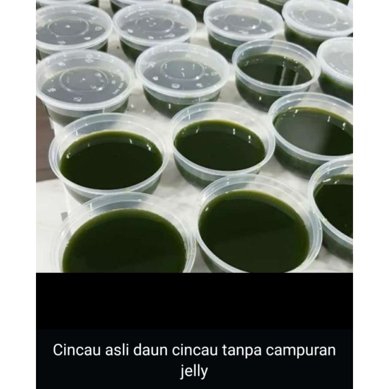 

Cincau Hijau Organik Per 10 Cup KHUSUS INSTAN