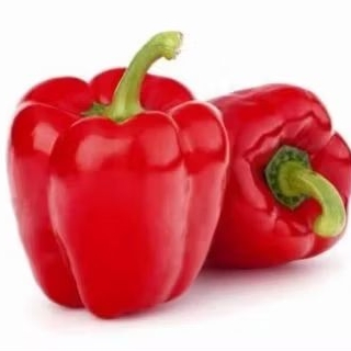 

paprika merah segar /pcs