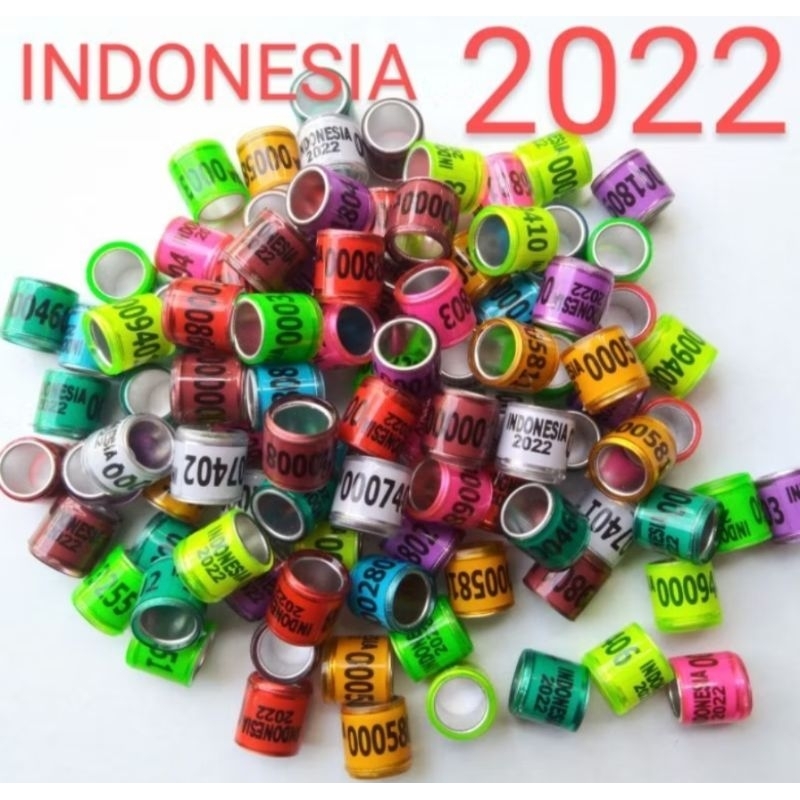Ring2022