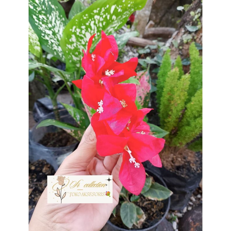 semanggi bunga kertas