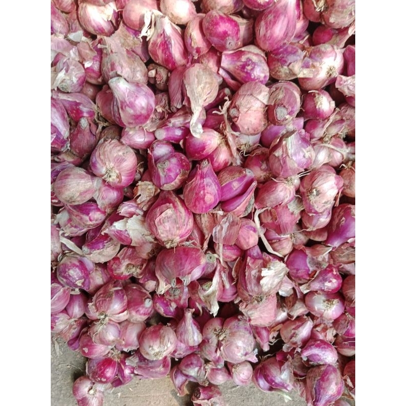 

bawang merah tanggung besar 1kg bamer lokal Kediri
