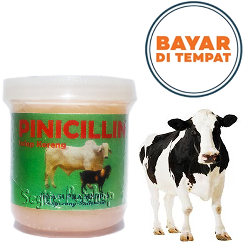 OBAT KORENG SAPI KAMBING SALEP PINICILIN PENGHILANG JAMUR GUDIK