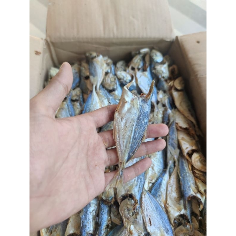 

IKAN ASIN SELAR REBUS 250GR