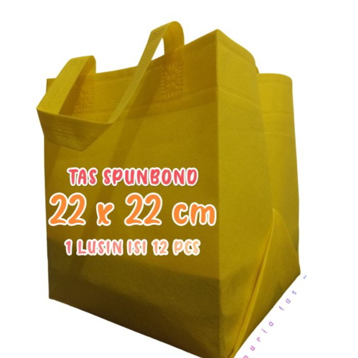 

FG2 1 LUSIN ISI 12 PCS TAS HAJATAN SPUNBOND 22X22 CM TINGGI 25 CM