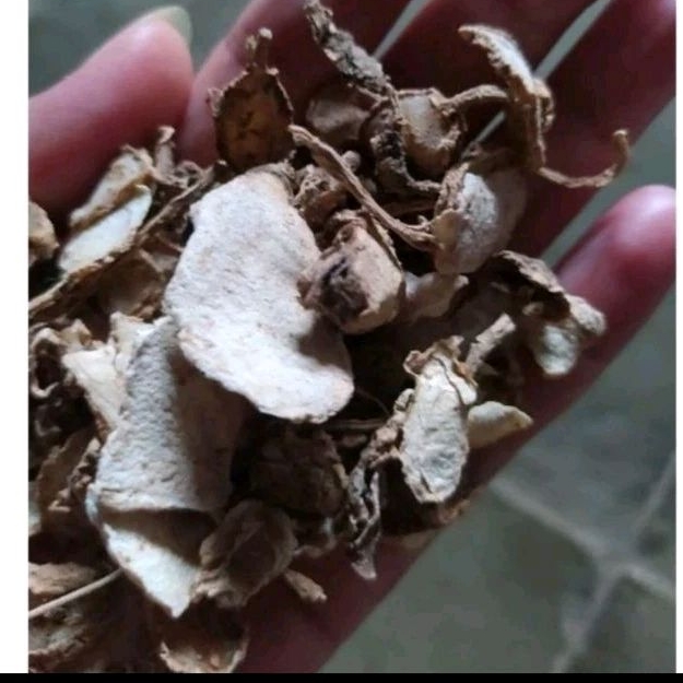 

kunyit putih iris kering 1kg