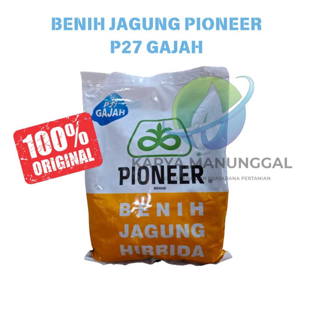 Benih Jagung Hibrida Pioneer P27 Gajah 1kg