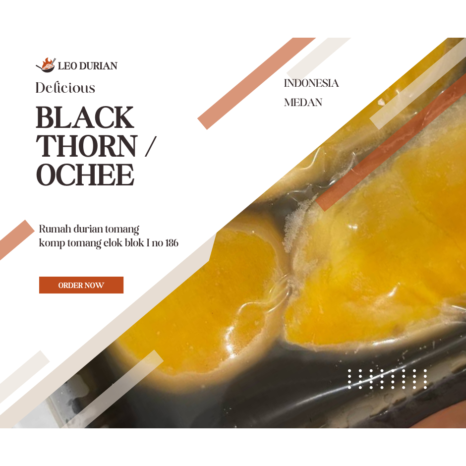 

Durian Black thorn / Ochee Frozen Import Malaysia 400 Gram