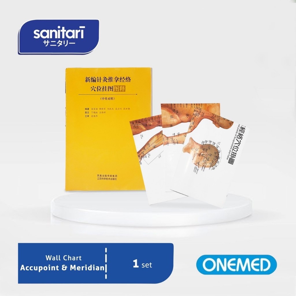 Wall Chart Accupoint and Meridian Gambar Titik Akupuntur Poster Akupuntur