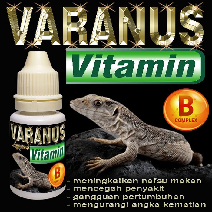 VARANUS VITAMIN CAIR OBAT MENYEMBUHKAN GANGGUAN PERTUMBUHAN VARANNUS SALVATOR SALVADORI LIZARD KADAL