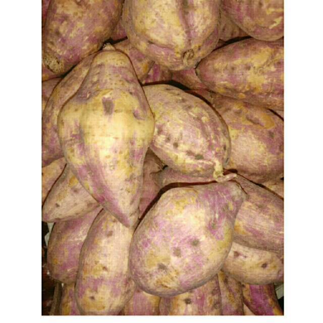 

Ubi Merah / Red Sweet Potato 1 Kg