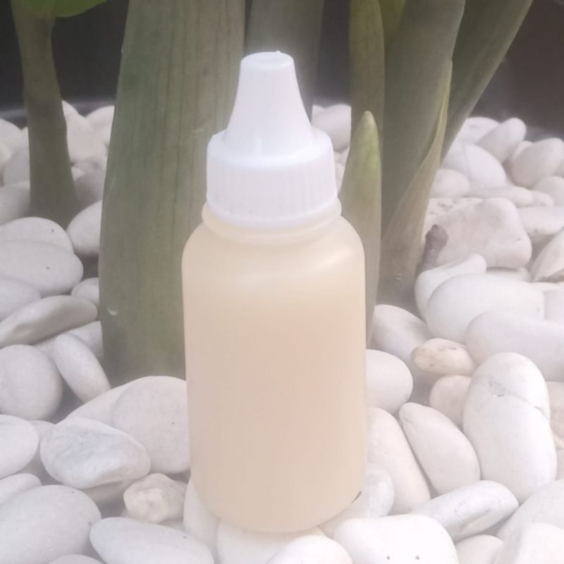 ESEN BUAT MANCING IKAN  BAWAL MEDIA KACANG MEDE