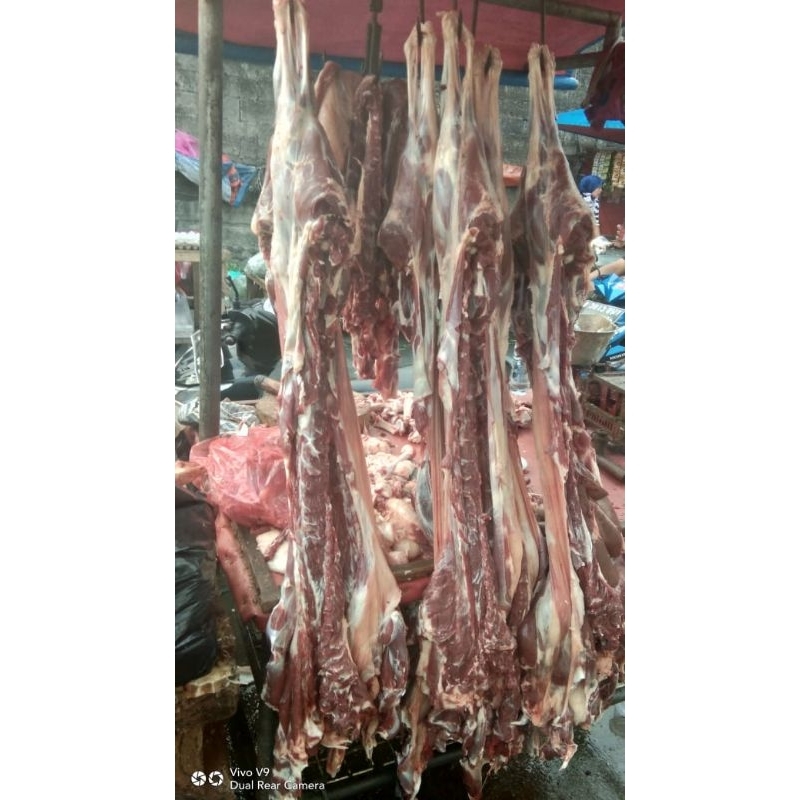

Daging Kambing Segar