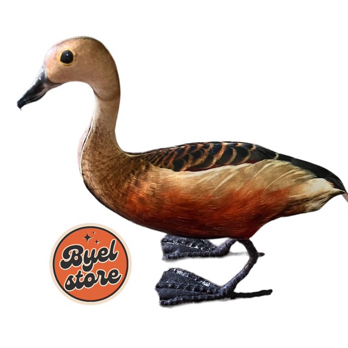 Diskon Jontrot Burung Belibis Kembang  Patung Decoy Burung Belibis