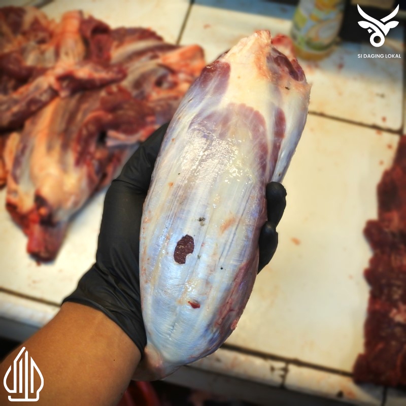 

Daging sapi bagian sengkel biasa - 250 / 500 / 750 Gram
