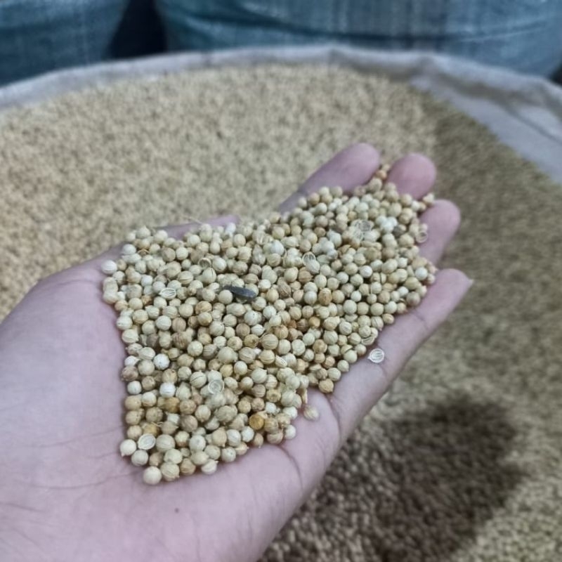 

Merica / lada biji 100gr
