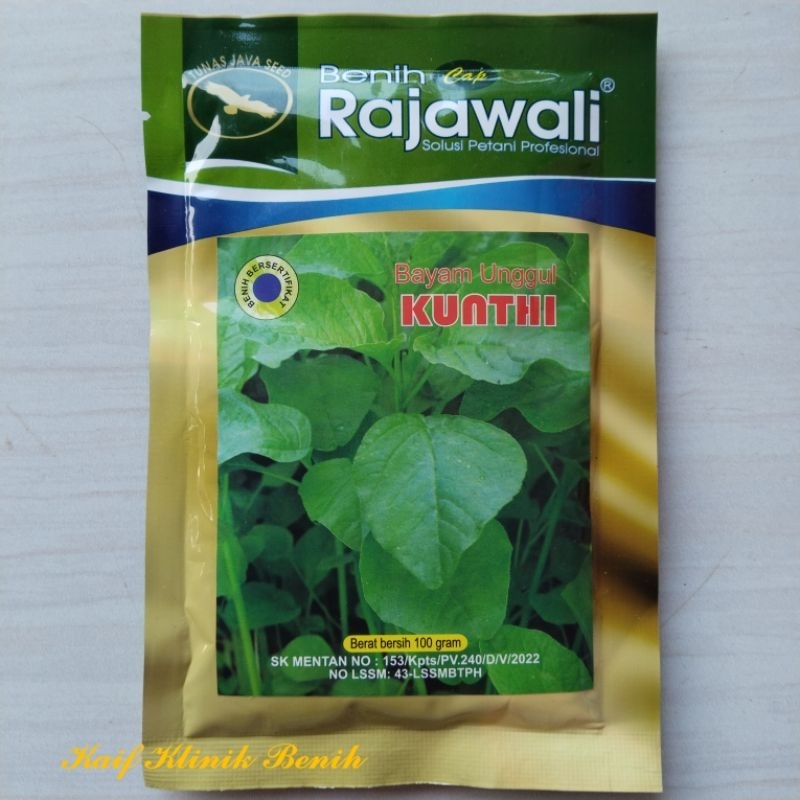 Benih Unggul Bayam Kunthi 100 Gram - Bibit Bayam Hijau Cap Rajawali