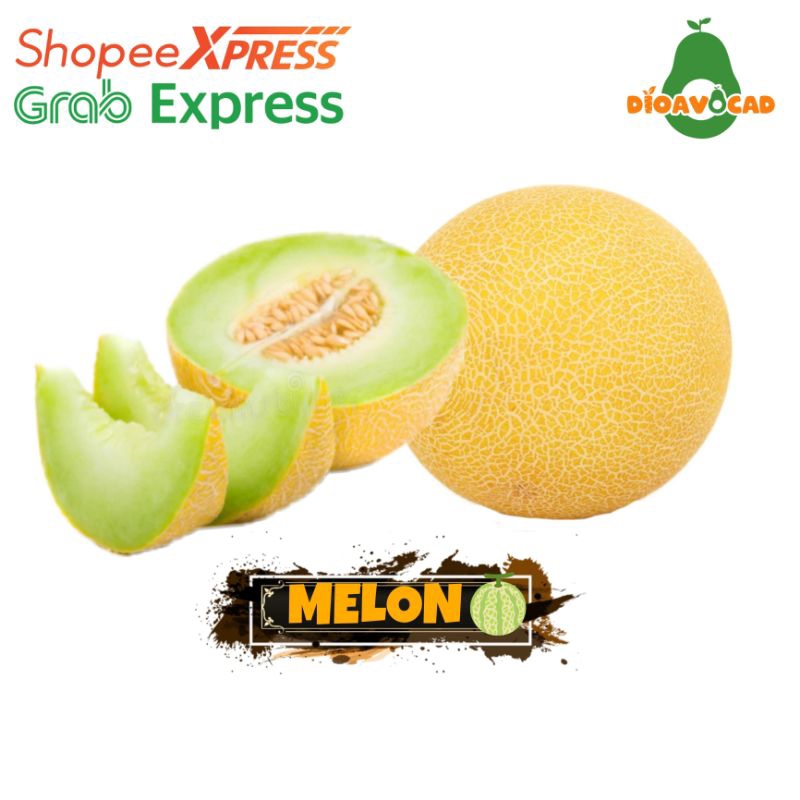 

Buah melon madu harga per 1 buah