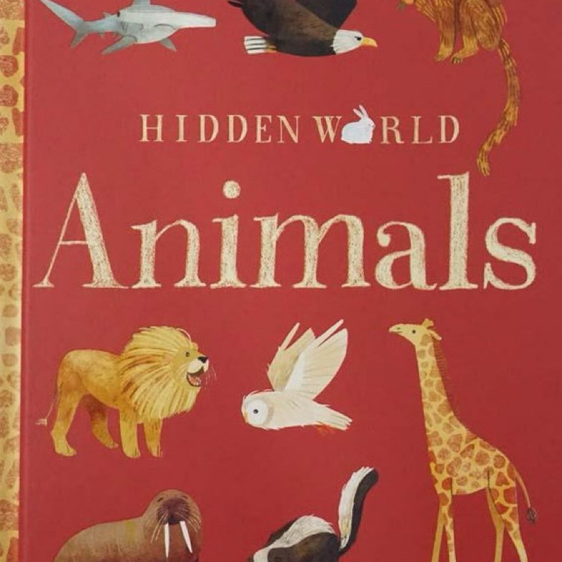 Lift The Flap Nature Hidden World Animals