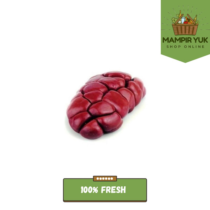 

Ginjal sapi 500gr-1kg | mampiryuk