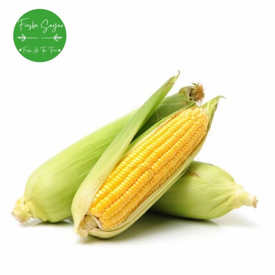 

Jagung Manis 1 pcs