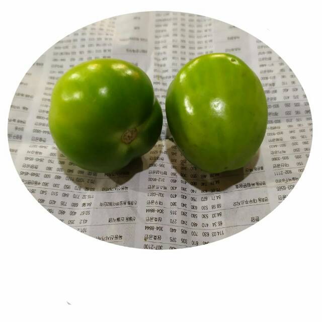 Tomat Hijau 1 Kg