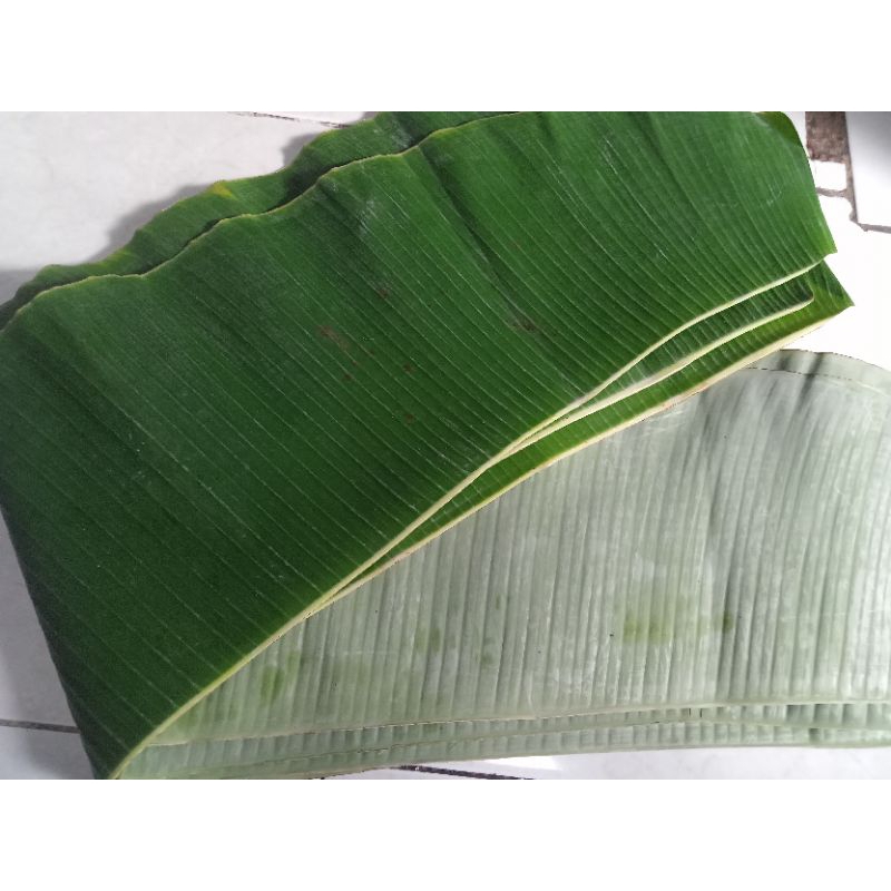 

DAUN PISANG | Daun pisang fresh | isi 6 lbr