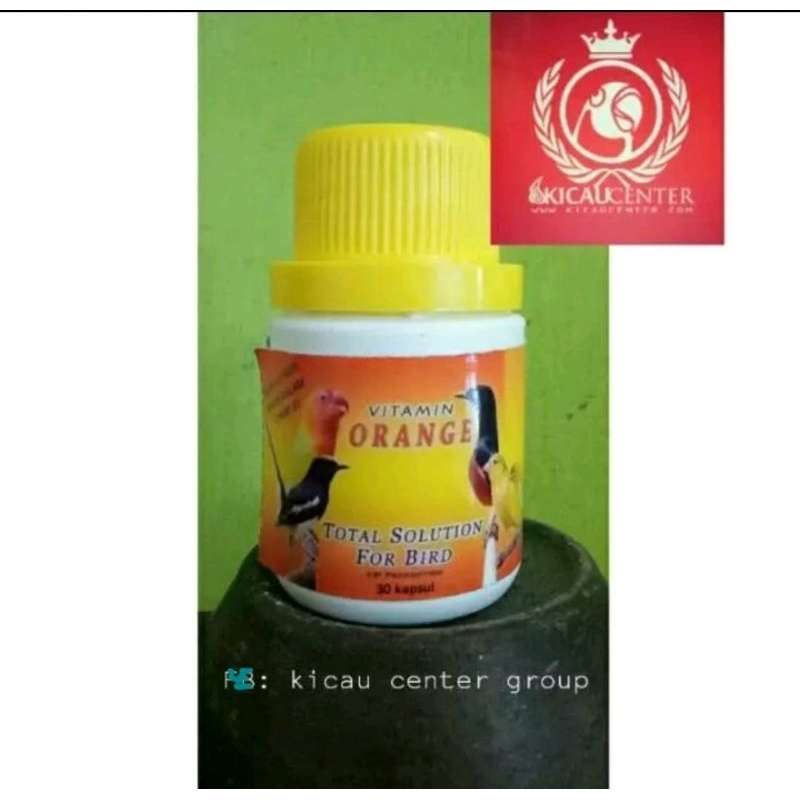 VIT ORANGE KAPSUL SERBUK