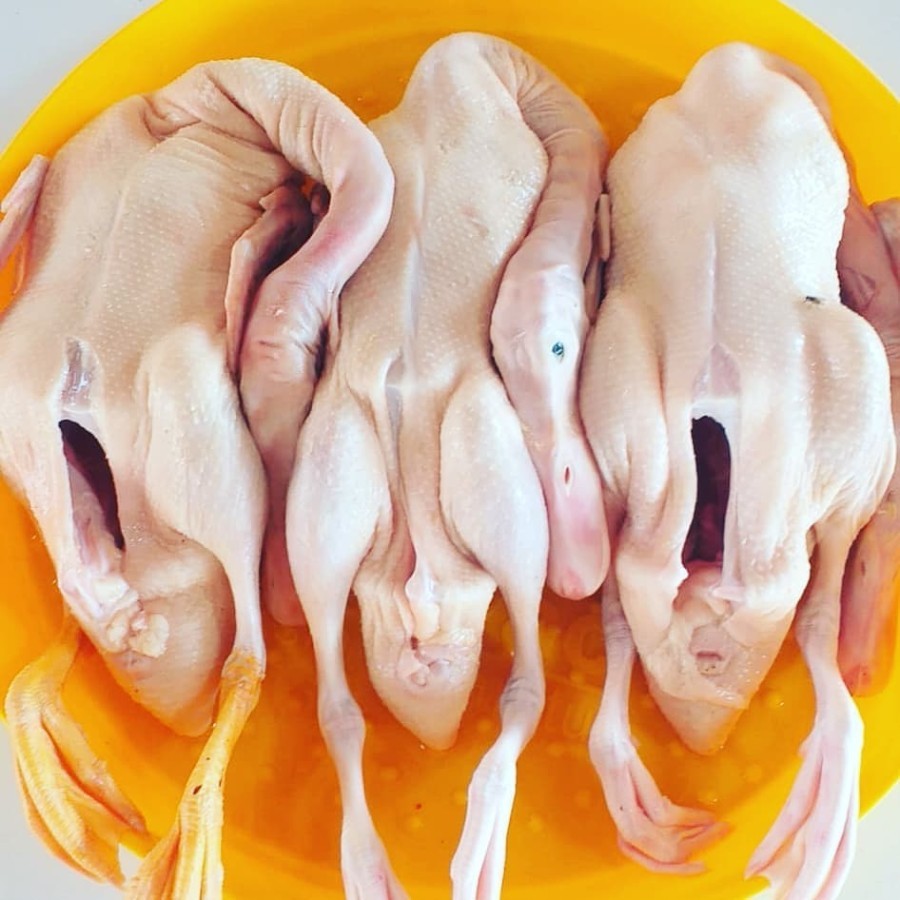 

Karkas Bebek Hybrida Fress - Karkas Bebek Peking Fress 1Kg