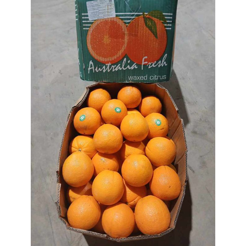 

Jeruk Sunkis Navel Import 1dus
