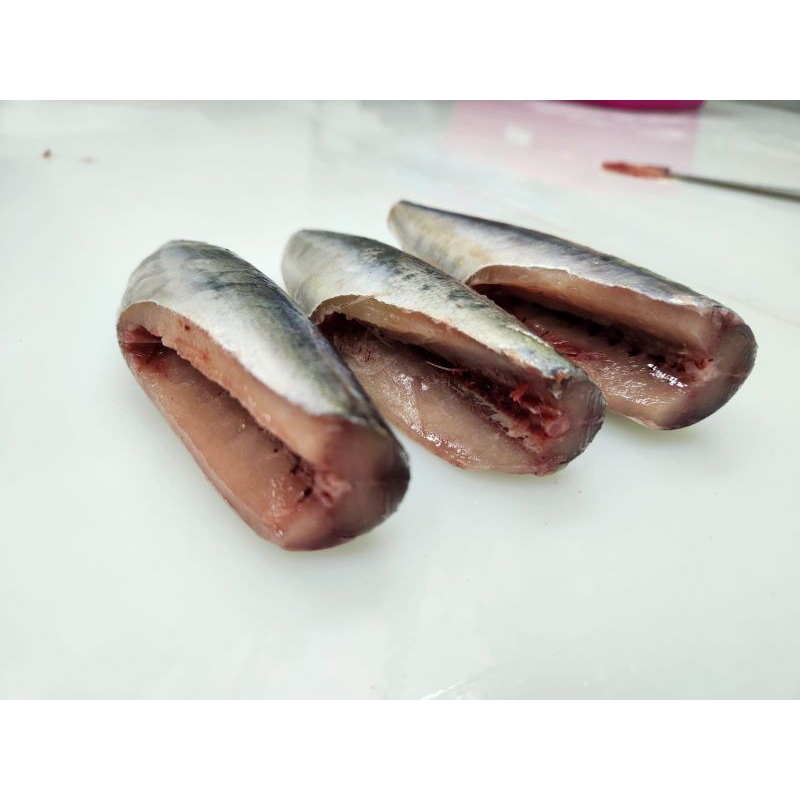 

ikan layang