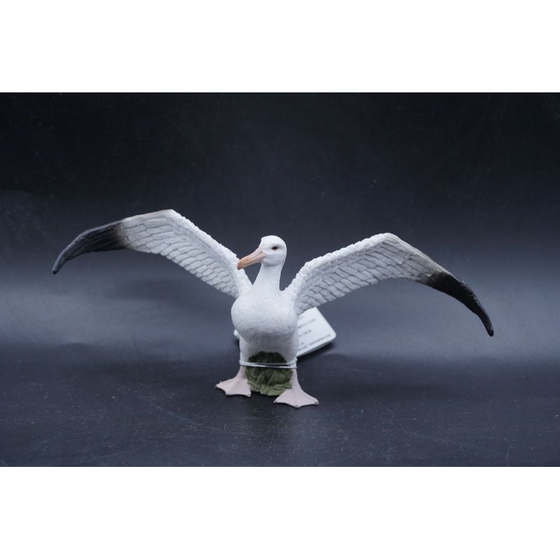 Wandering Albatross 88765 Burung Laut Besar Mainan Animal Figure Binatang Miniature Edukasi Anak Hew