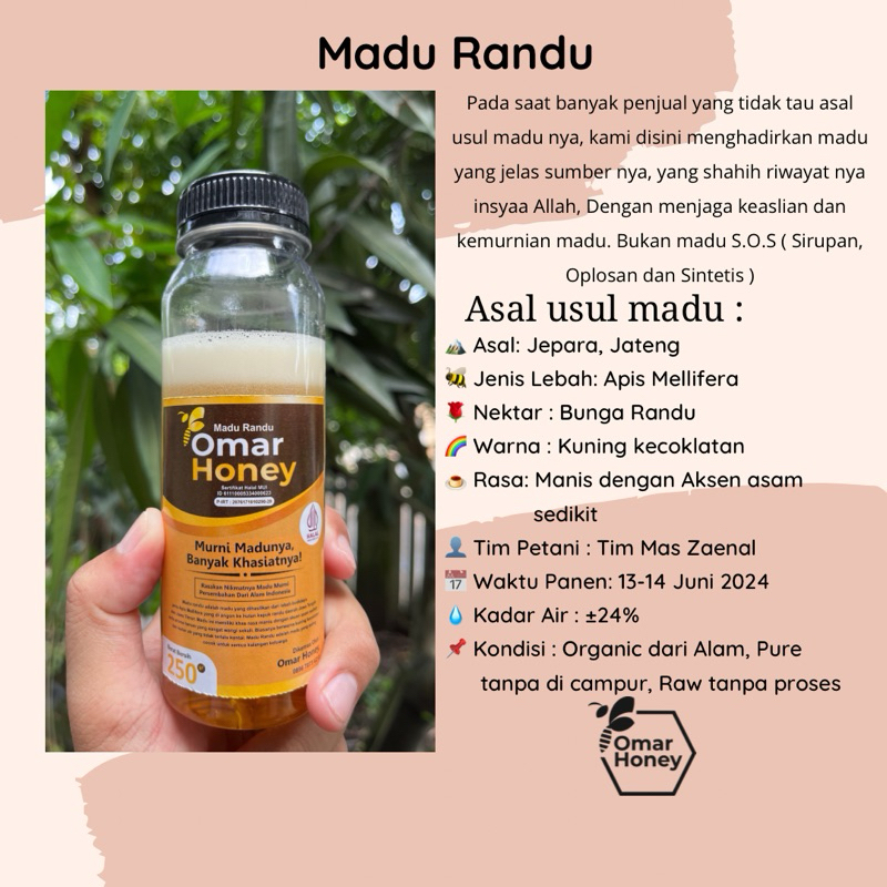 

Madu murni bersanad asal usul jelas, Madu budidaya dari lebah Apis Mellifera Nektar Randu by omar.honey bukan madu S.O.S