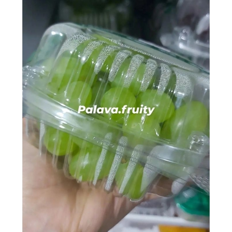 

ANGGUR HIJAU THOMPSON