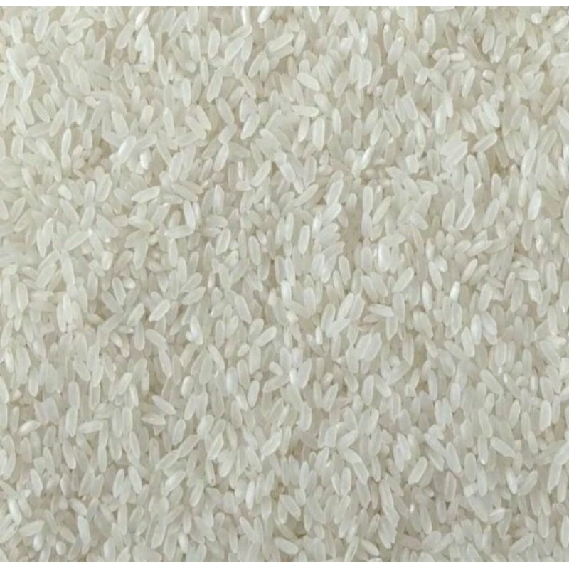 

BERAS PRAK SUPER MEREK IR42