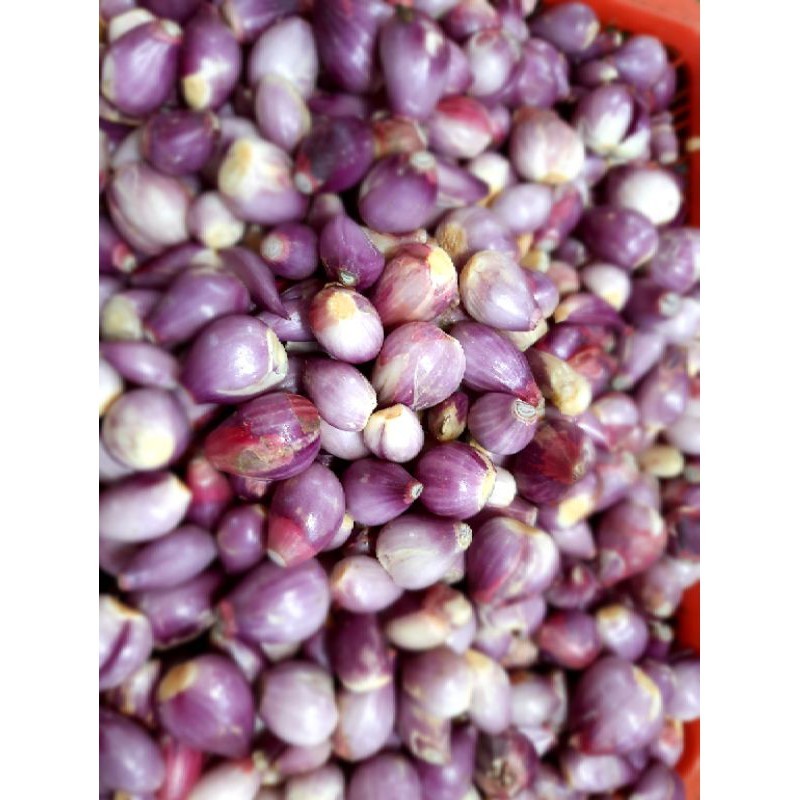 

Bawang Merah Kupas 500 gram