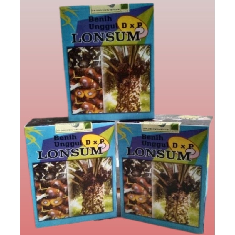 bibit sawit unggul dxp LONSUM