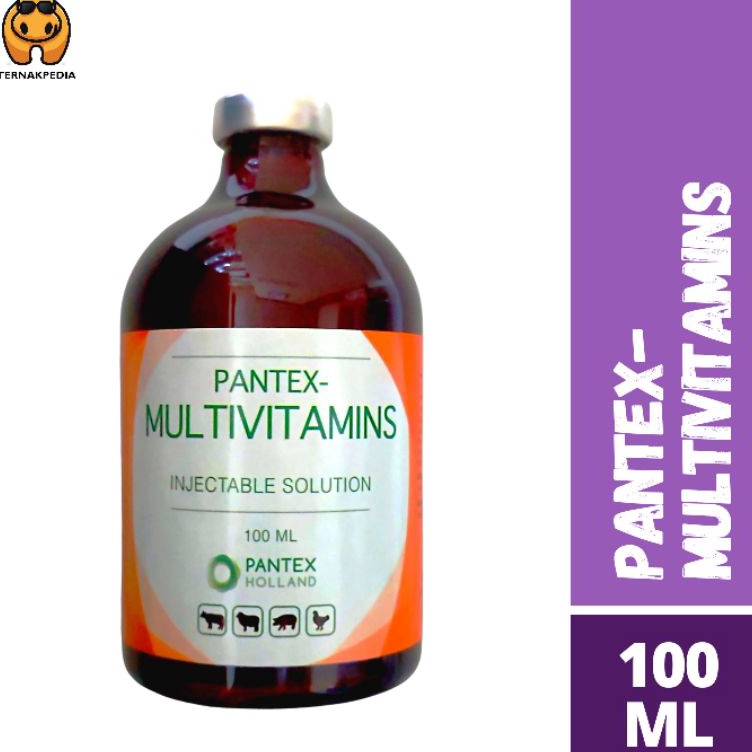 Hot Brand  Pantex Multivitamin 1 ml  Multivitamin Pantex  Multivitamin Injeksi  Injeksi Multivitamin