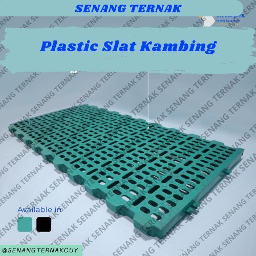 PLASTIK SLAT / SLAT / LANTAI KANDANG / SLET