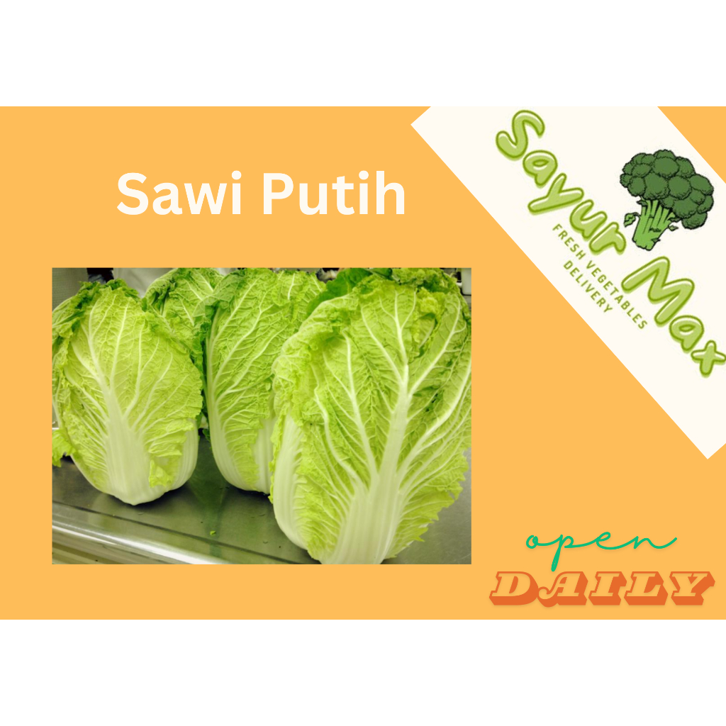 

Sawi Putih