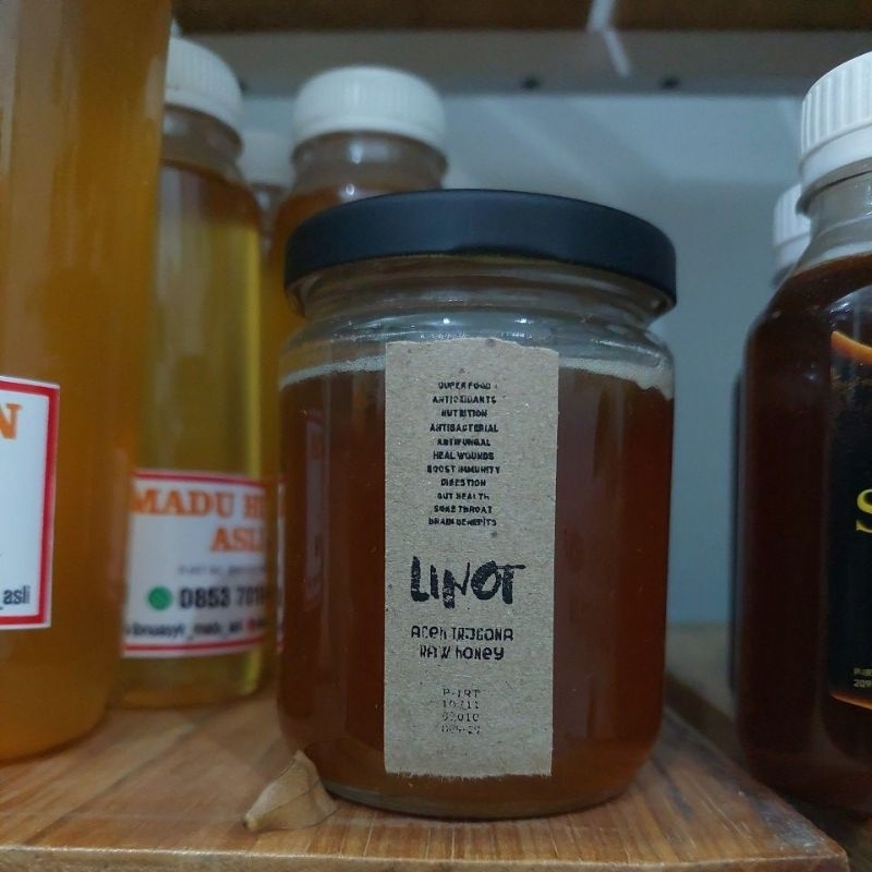 

Madu Linot Kelulut Lebah Trigona Aceh