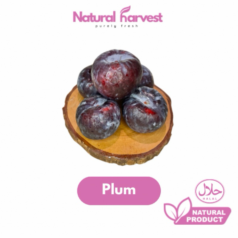 

Buah Red Plum Super | NaturalHarvest!